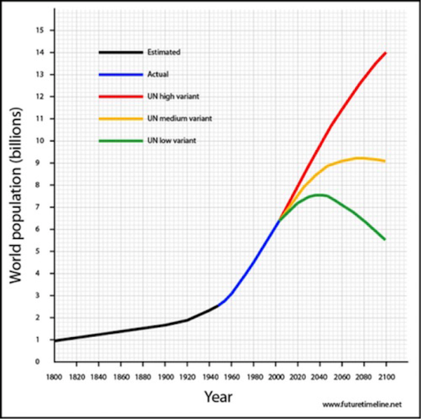 global demography in globalization