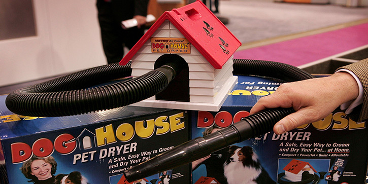 Pet Care Is a Recession-Proof Industry
