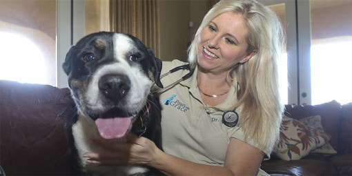 You’ll Want to Own This “Dog” of a Stock